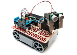 Robot